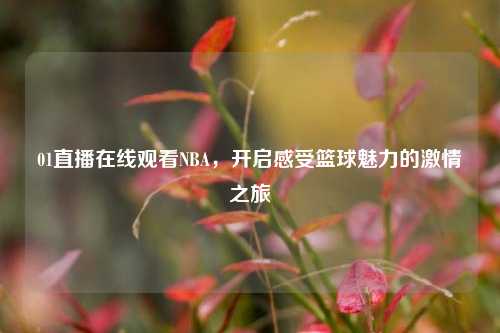 01直播在线观看NBA,开启感受篮球魅力的***之旅