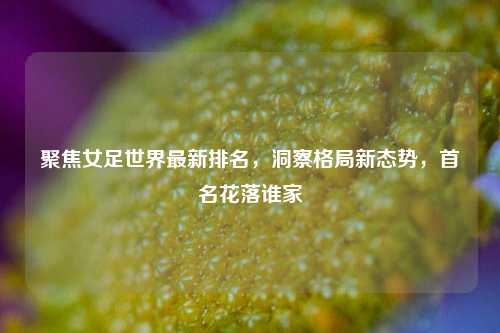 聚焦女足世界最新排名,洞察格局新态势,首名花落谁家