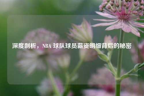 深度剖析,NBA 球队球员薪资明细背后的秘密