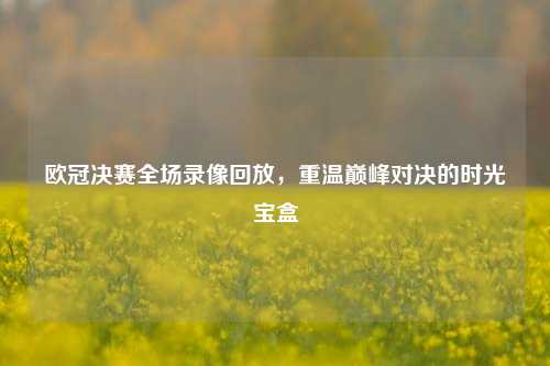 欧冠决赛全场录像回放,重温巅峰对决的时光宝盒