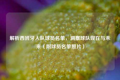 解析西班牙人队球员名单,洞察球队现在与未来(附球员名单照片)