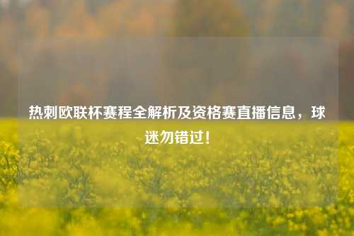 热刺欧联杯赛程全解析及资格赛直播信息,球迷勿错过!