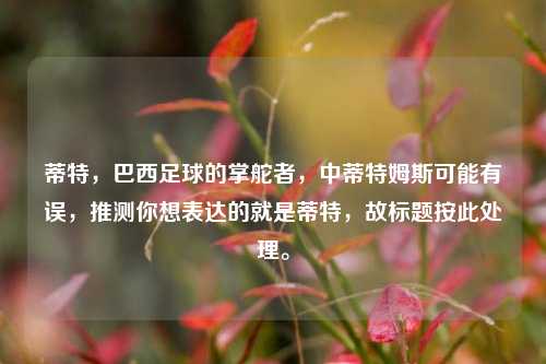 蒂特,巴西足球的掌舵者,中蒂特姆斯可能有误,推测你想表达的就是蒂特,故标题按此处理。
