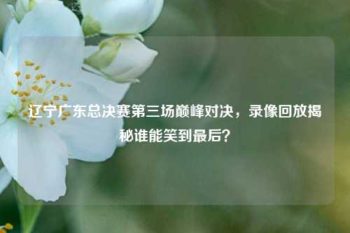 辽宁广东总决赛第三场巅峰对决,录像回放揭秘谁能笑到最后?