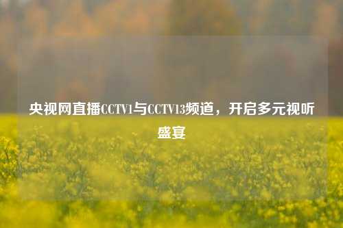 央视网直播CCTV1与CCTV13频道,开启多元视听盛宴
