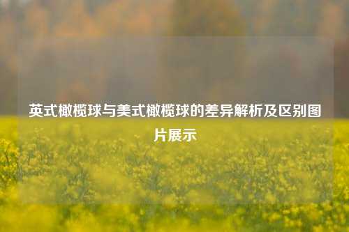 英式橄榄球与美式橄榄球的差异解析及区别图片展示