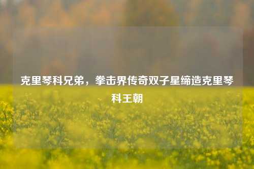 克里琴科兄弟,拳击界传奇双子星缔造克里琴科王朝