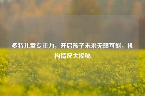 多特儿童专注力,开启孩子未来无限可能,机构情况大揭秘