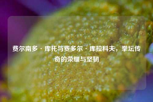 费尔南多·库托与费多尔·库拉科夫,拳坛传奇的荣耀与坚韧