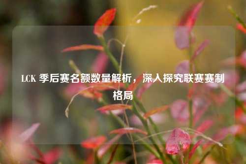 LCK 季后赛名额数量解析,深入探究联赛赛制格局