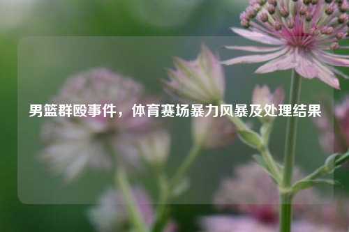 男篮群殴事件,体育赛场暴力风暴及处理结果