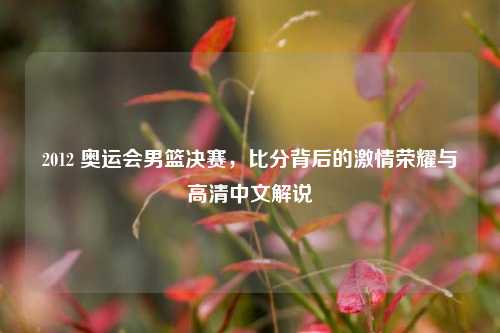 2012 奥运会男篮决赛,比分背后的***荣耀与高清中文解说