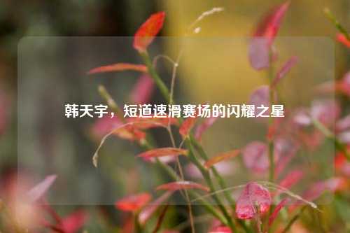 韩天宇,短道速滑赛场的闪耀之星