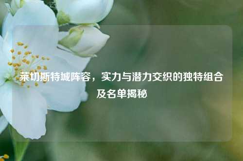 莱切斯特城阵容,实力与潜力交织的独特组合及名单揭秘