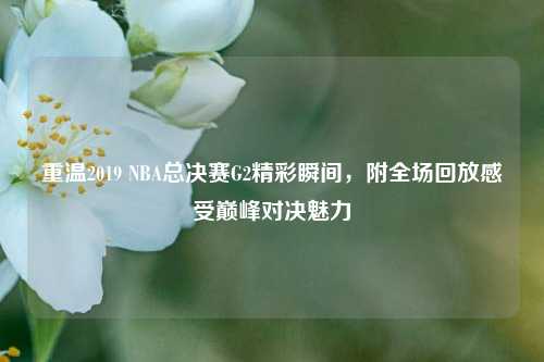 重温2019 NBA总决赛G2精彩瞬间,附全场回放感受巅峰对决魅力