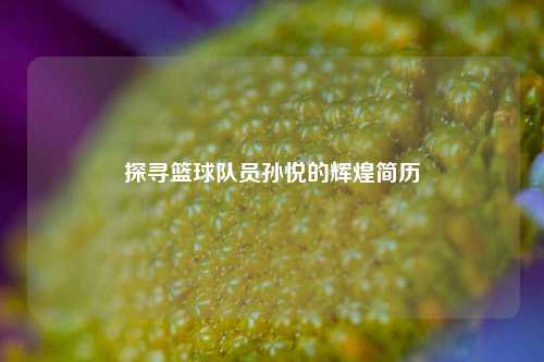 探寻篮球队员孙悦的辉煌简历