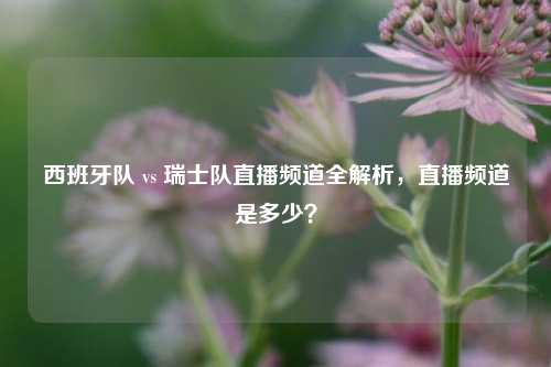 西班牙队 vs 瑞士队直播频道全解析,直播频道是多少?