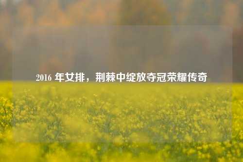 2016 年女排,荆棘中绽放夺冠荣耀传奇