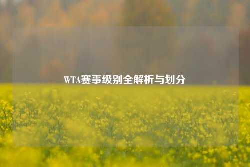 WTA赛事级别全解析与划分