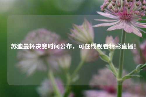 苏迪曼杯决赛时间公布,可在线观看精彩直播!