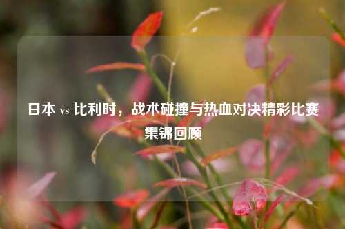 日本 vs 比利时,战术碰撞与热血对决精彩比赛集锦回顾