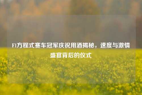 F1方程式赛车冠军庆祝用酒揭秘,速度与***盛宴背后的仪式