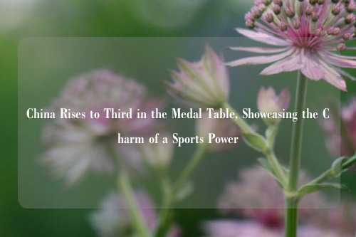 China Rises to Third in the Medal Table, Showcasing the Charm of a Sports Power