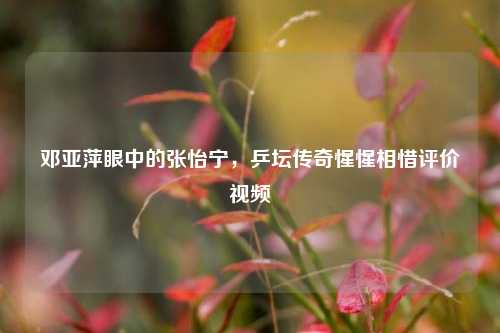 邓亚萍眼中的张怡宁,乒坛传奇惺惺相惜评价视频