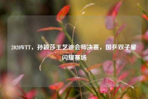 2020WTT,孙颖莎王艺迪会师决赛,国乒双子星闪耀赛场