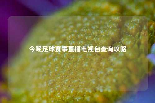今晚足球赛事直播电视台查询攻略