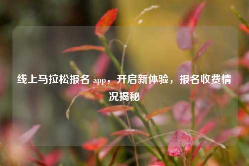 线上马拉松报名 app,开启新体验,报名收费情况揭秘