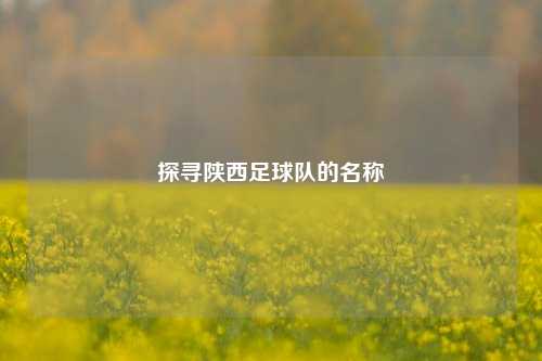 探寻陕西足球队的名称