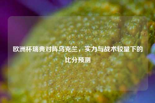 欧洲杯瑞典对阵乌克兰,实力与战术较量下的比分预测