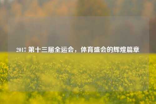 2017 第十三届全运会,体育盛会的辉煌篇章