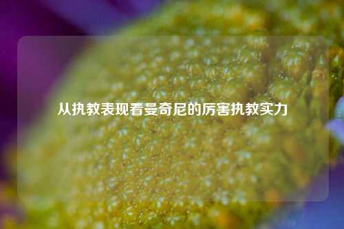 从执教表现看曼奇尼的厉害执教实力