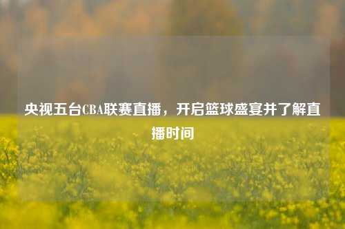 央视五台CBA联赛直播,开启篮球盛宴并了解直播时间