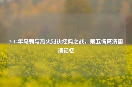 2014年马刺与热火对决经典之战,第五场高清国语记忆
