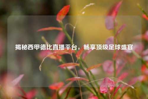 揭秘西甲德比直播平台,畅享顶级足球盛宴