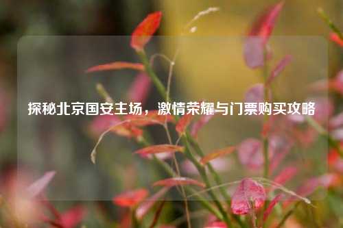探秘北京国安主场,***荣耀与门票购买攻略