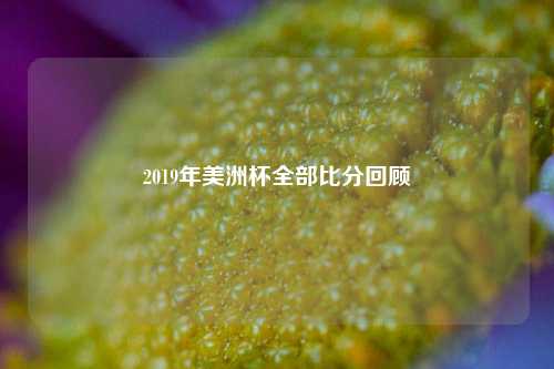 2019年美洲杯全部比分回顾