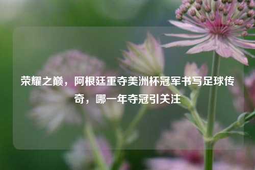 荣耀之巅,阿根廷重夺美洲杯冠军书写足球传奇,哪一年夺冠引关注