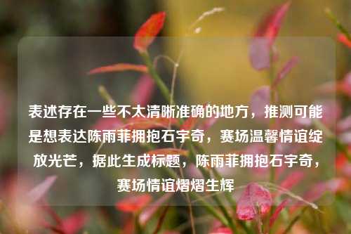 表述存在一些不太清晰准确的地方,推测可能是想表达陈雨菲拥抱石宇奇,赛场温馨情谊绽放光芒,据此生成标题,陈雨菲拥抱石宇奇,赛场情谊熠熠生辉