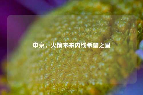 申京,火箭未来内线希望之星