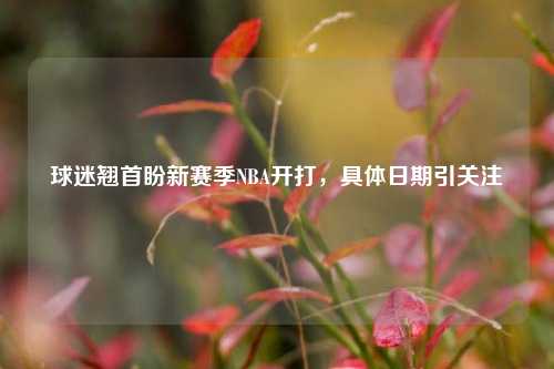 球迷翘首盼新赛季NBA开打,具体日期引关注