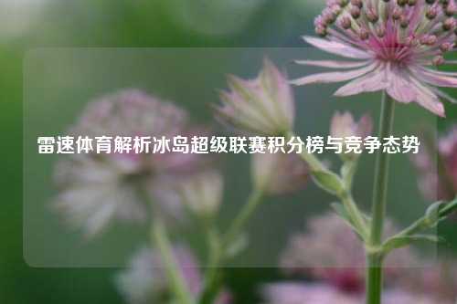 雷速体育解析冰岛超级联赛积分榜与竞争态势