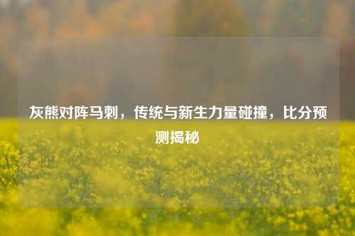 灰熊对阵马刺,传统与新生力量碰撞,比分预测揭秘