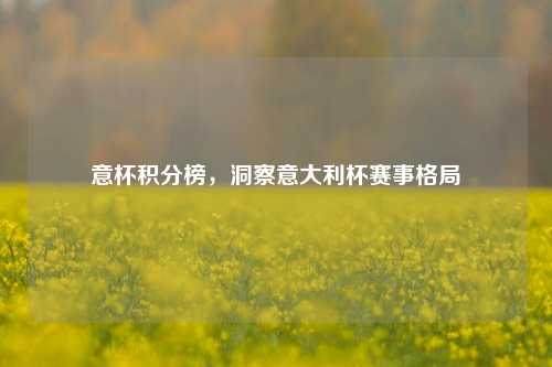 意杯积分榜,洞察意大利杯赛事格局