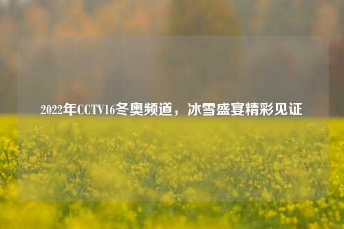2022年CCTV16冬奥频道,冰雪盛宴精彩见证