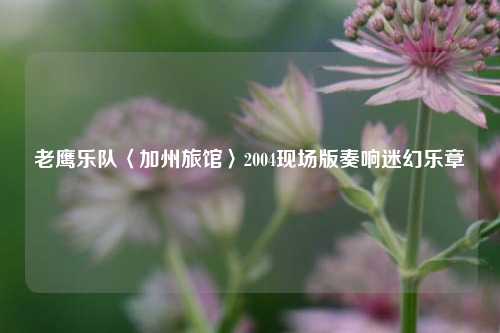老鹰乐队〈加州旅馆〉2004现场版奏响迷幻乐章