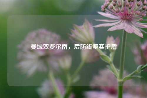 曼城双费尔南,后防线坚实护盾